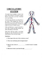 English Worksheet: Circulatory System