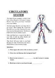 Circulatory System