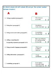 English Worksheet: essay writing