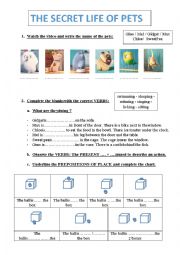 English Worksheet: VIDEO SECRET LIFE OF PETS + PREPOSITIONS OF PLACE