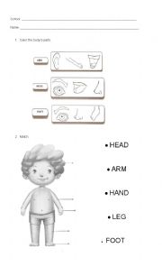 English Worksheet: Body parts