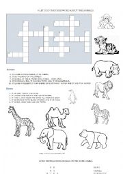 English Worksheet: Animals