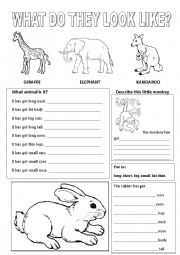 English Worksheet: Animals-body