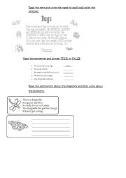 English Worksheet: BUGS