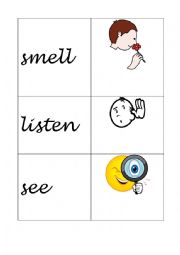 OUR FIVE SENSES. CARDS