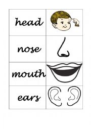 English Worksheet: PARTS OF THE FACE AND BODY