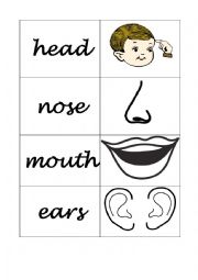 PARTS OF THE FACE AND BODY