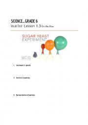English Worksheet: SPECTRUM SCIENCE_GRADE 6 Vocab Test   Lesson 1.3 On the Rise
