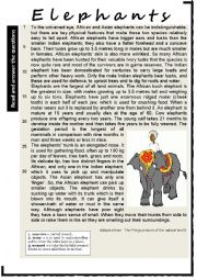 ELEPHANTS. Reading Comprehension. Varied questions and vocabulary work + KEY.