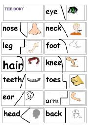 English Worksheet:  my body puzzle