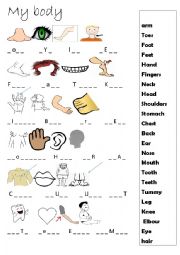 English Worksheet: my body 