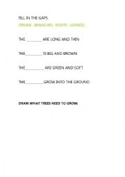 English Worksheet: Tree parts