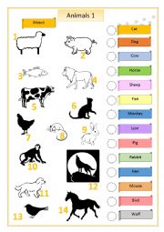 English Worksheet: Animals 1