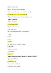 English Worksheet: What is a home run