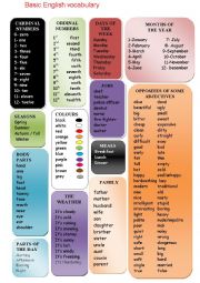 English Worksheet: basic english vocabulary