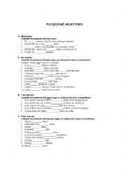 English Worksheet: Possessive Adjectives