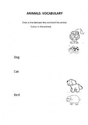 English Worksheet: Animals - Vocabulary
