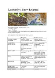 English Worksheet: ANIMAL DESCRIPTION