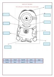 English Worksheet: Parts of the body