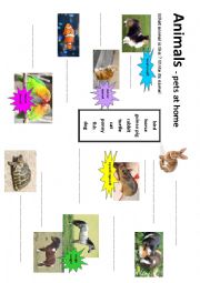 English Worksheet: Animals at home on farm in garden