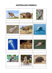 English Worksheet: Australian animals + solution