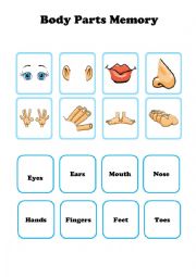 body parts flashcards