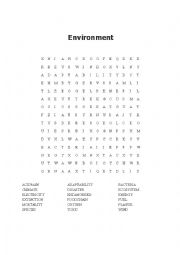 Environment Worksheet