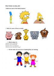 English Worksheet: Basic Vocabulary practise