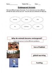 English Worksheet: Endangered Animals