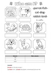 English Worksheet: Pets vocabulary