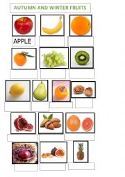 English Worksheet: FRUIT