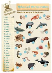 Animal Kingdom - Molluscs and other sea creatures (2)
