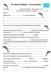 English Worksheet: A film about dolphins