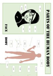 English Worksheet: Parts of the human body - vocabulary sheet