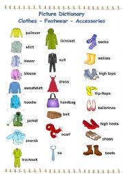 Picture Dictionary - ESL worksheet by Professora_Paula