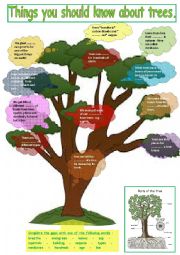 English Worksheet: Things you should know about trees. Fill in the gap + key + teachers extras.