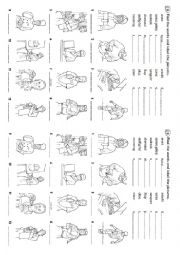 Verbs (Simple Present)