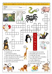 English Worksheet: ANIMALS