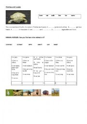 English Worksheet: Wild animals