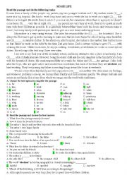 English Worksheet: HOME LIFE