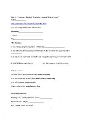 English Worksheet: Great White Shark youtube listening activity