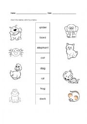 English Worksheet: Pet Show