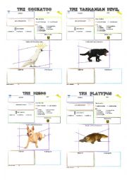 English Worksheet: australian animals fact blank posters