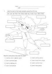 English Worksheet: Parts of the body