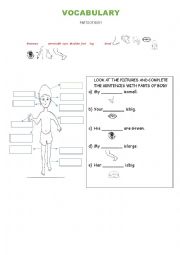 English Worksheet: our body