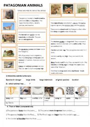 English Worksheet: Patagonian species