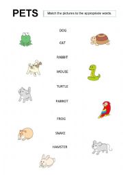 English Worksheet: Pets