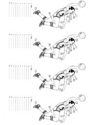 English Worksheet: Bady Parts