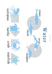 Milous The Basics - Animals - Water Animals Poster