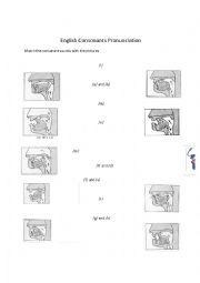English Worksheet: Pronunciation - Points of Articulation for Consonants and Vowels